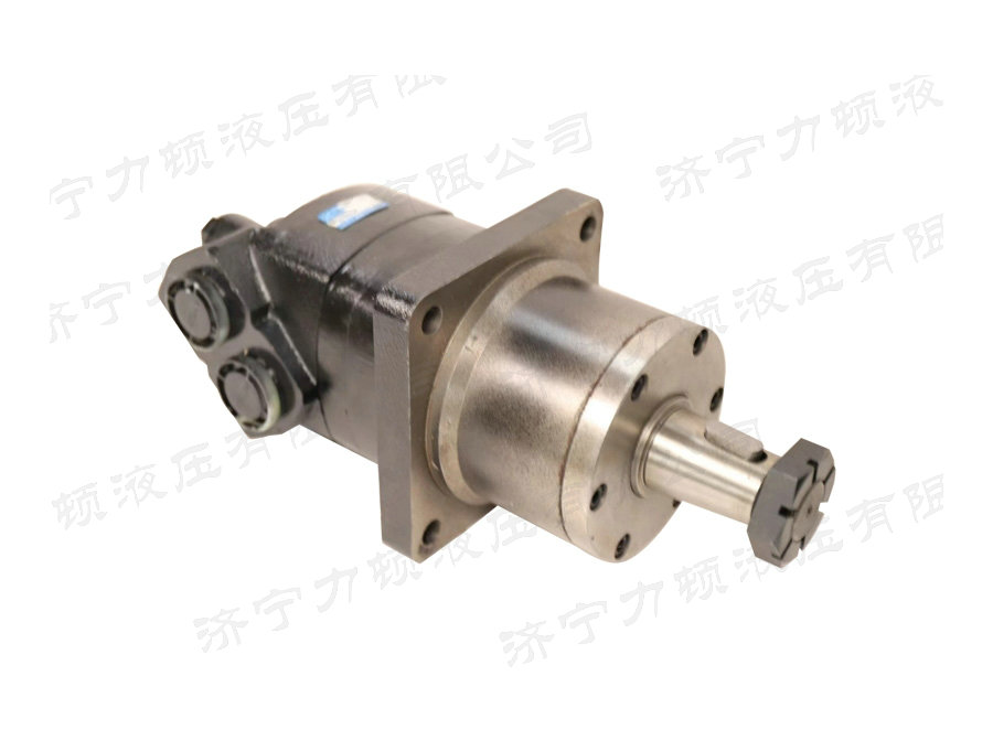 BM6車(chē)輪系列馬達