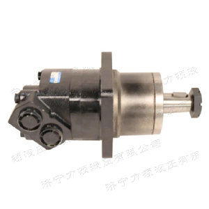 BM6車(chē)輪系列馬達