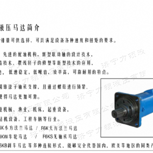 BM6車(chē)輪系列馬達