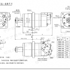 BM6車(chē)輪系列馬達