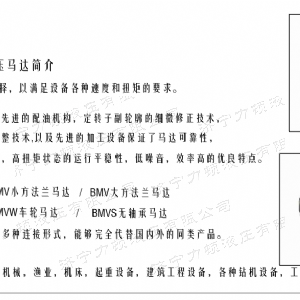 BMV無(wú)軸承系列馬達