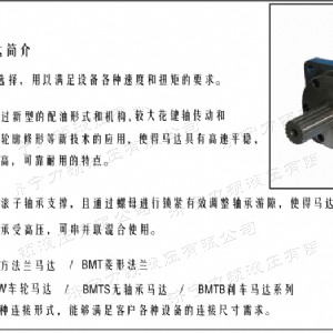 BMT車(chē)輪系列馬達
