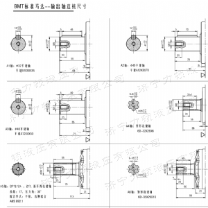 BMT車(chē)輪系列馬達