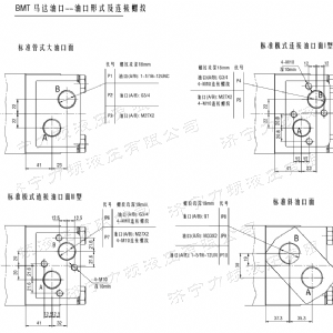BMT車(chē)輪系列馬達