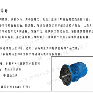 BM2車(chē)輪系列